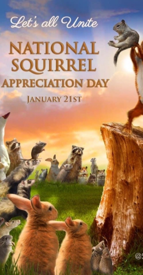 National Squirrel Appreciation Day
